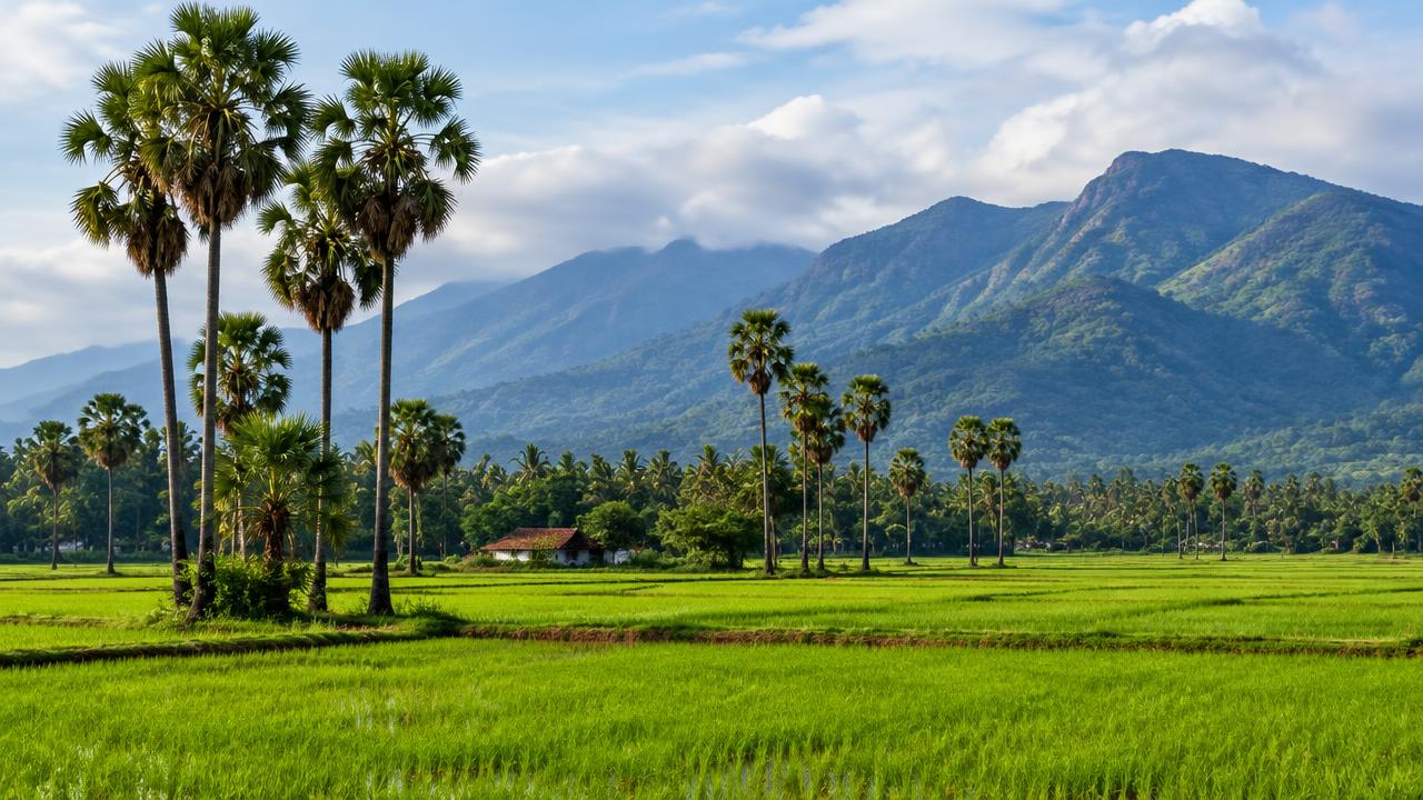 Scenic view of Palakkad, Kerala — online Rudraksha consultation for Palakkad residents